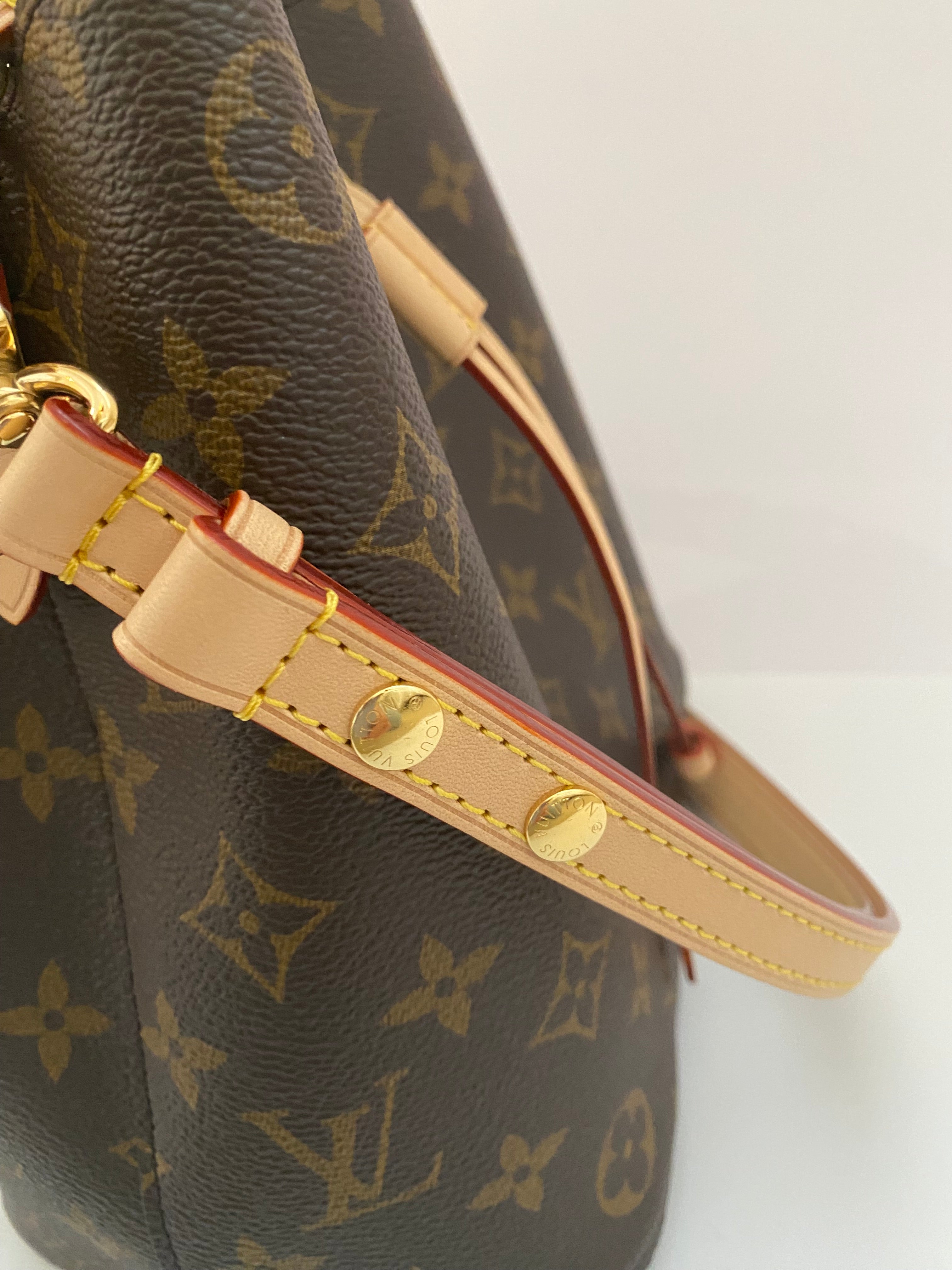 Louis Vuitton Monogram Neo Noe BB (RRP £1510)