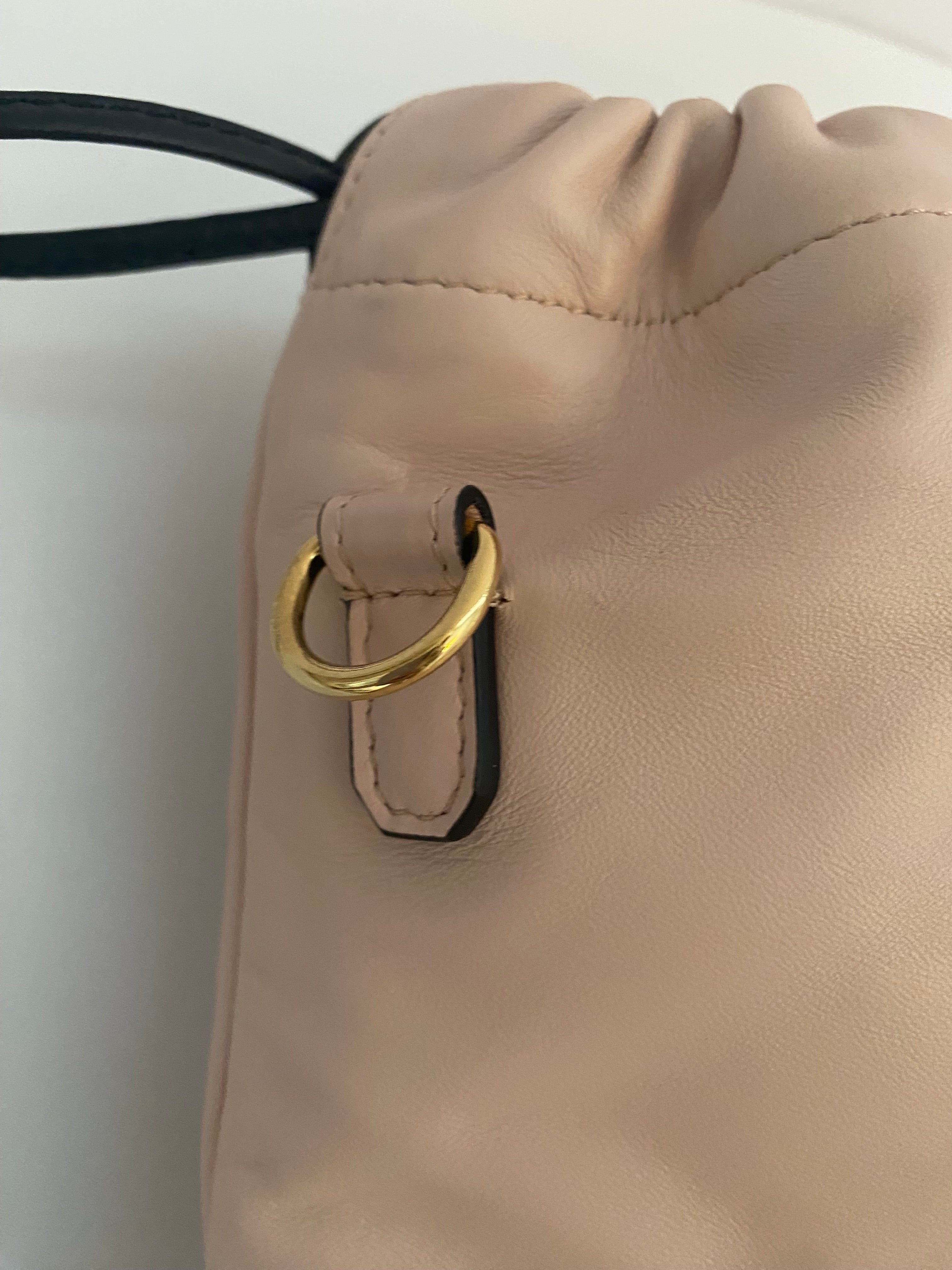 Fendi Pink Roma Sack Drawstring (RRP)