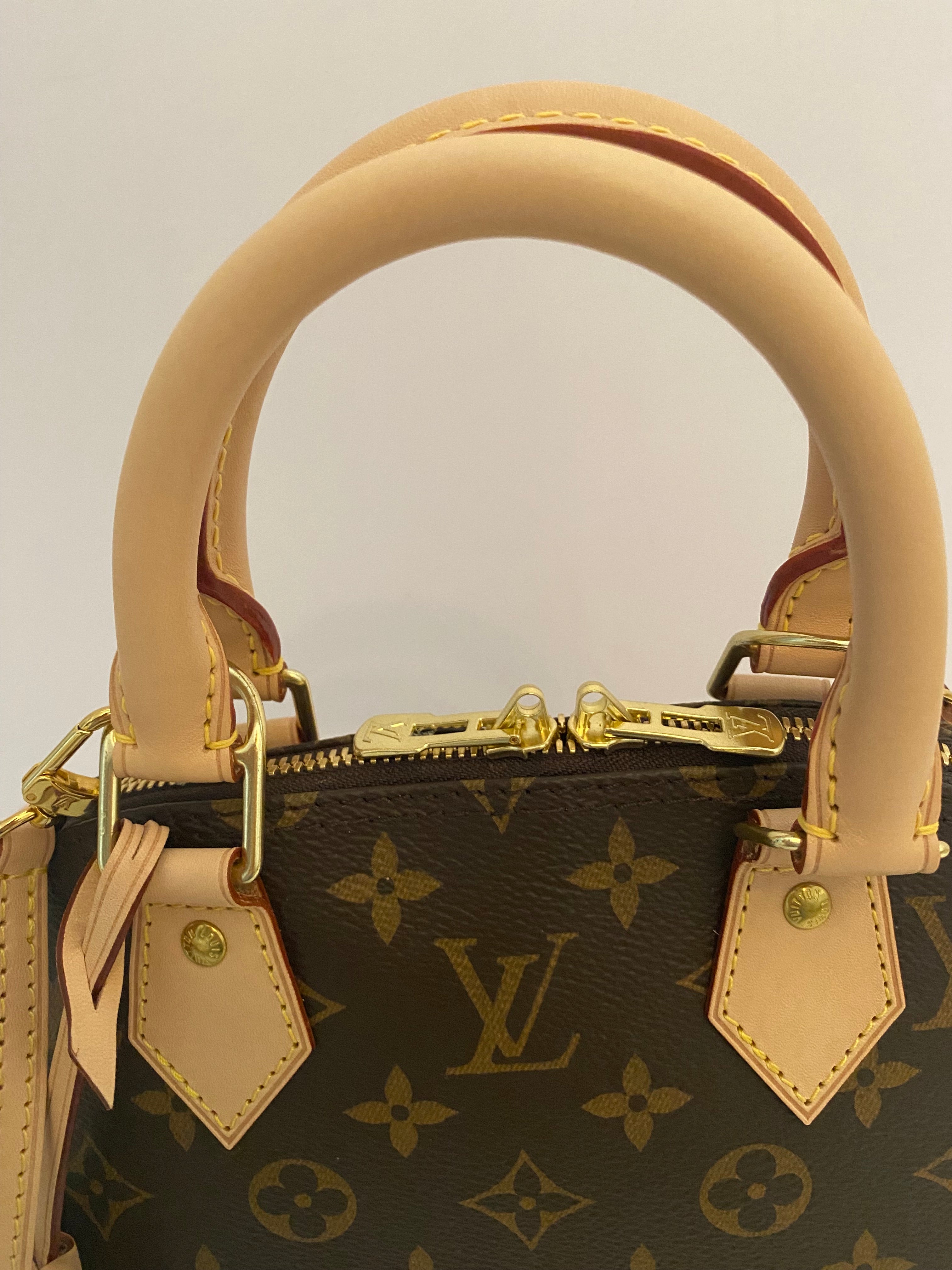 Louis Vuitton Monogram Alma BB (RRP £1430)