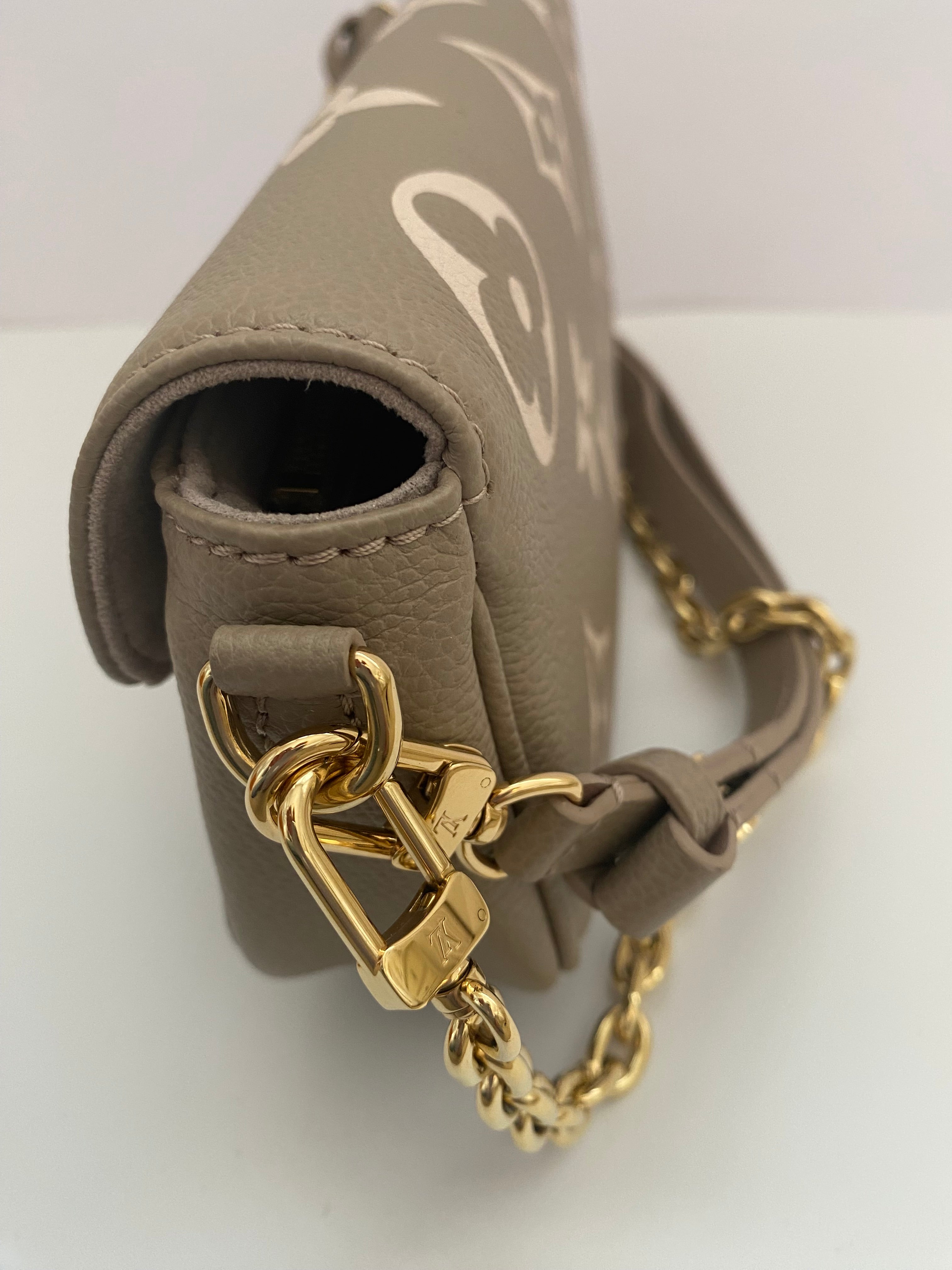 Louis Vuitton Ivy Wallet On A Chain (RRP £1530)